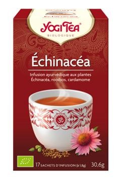 ECHINACEA 2