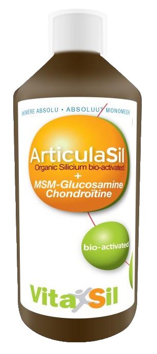 ARTICULASIL + MSM