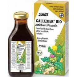 GALLEXIER BIO Artichaut-Pissenlit