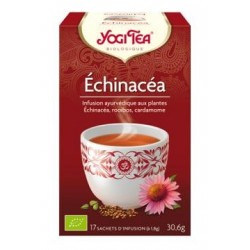 ECHINACEA