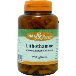 NAT & FORM Lithothamne