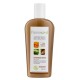 BIO CAPILARGIL Shampooing Cheveux Gras