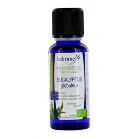 HUILE ESSENTIELLE Bio Eucalyptus globuleux