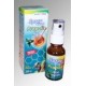 SPRAY BUCCAL Propolis Menthe Bio