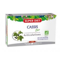 CASSIS Bio