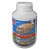 Psyllium Blond Bio