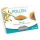 POLLEN DE SAULE