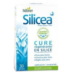 SILICEA Capsules de Silice