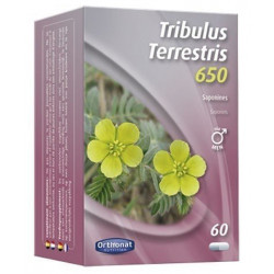 TRIBULUS Terrestris 650