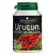 URUCUM Bio