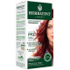 GEL COLORANT Permanent 7C Blond Cendré