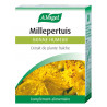 Millepertuis