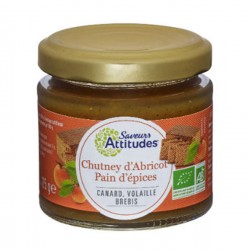 CHUTNEY Abricot Pain d'Epices Bio