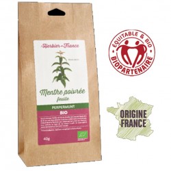 Anis vert graines bio - Cook - Herbier de France