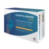 CARTILAMINE 1500