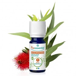 HUILE ESSENTIELLE Eucalyptus radié Bio