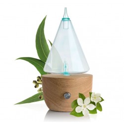 DIFFUSEUR Brumisateur Humidificateur