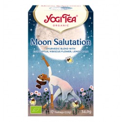 MOON SALUTATION