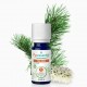 HUILE ESSENTIELLE Tea Tree Bio