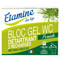 BLOC GEL WC Eco Recharges