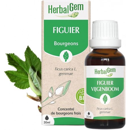 HERBALGEM Figuier Bio