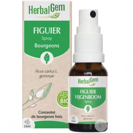 HERBALGEM Figuier Bio