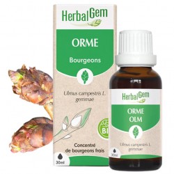 HERBALGEM Orme Bio