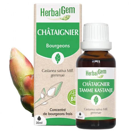 HERBALGEM Châtaignier Bio