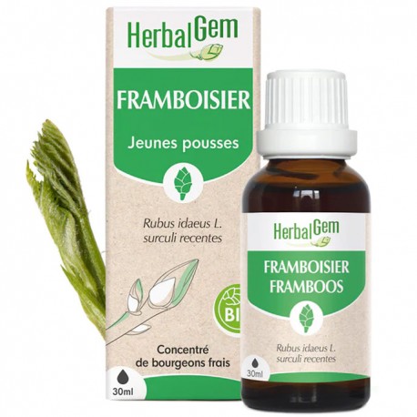 GEMMOBASE Framboisier