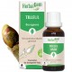 HERBALGEM Tilleul Bio