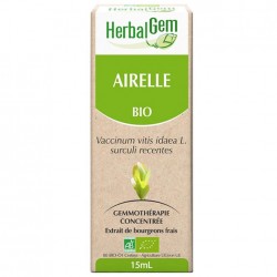 GEMMOBASE Airelle