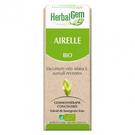 GEMMOBASE Airelle
