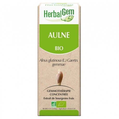 GEMMOBASE Aulne