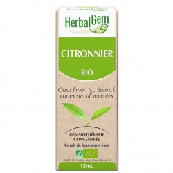 GEMMOBASE Citronnier