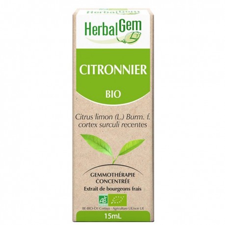 GEMMOBASE Citronnier