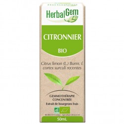 GEMMOBASE Citronnier