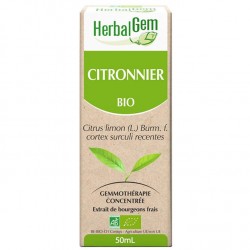 GEMMOBASE Citronnier