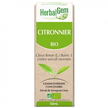 GEMMOBASE Citronnier