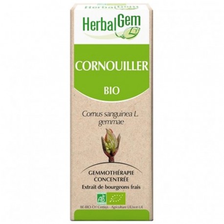 GEMMOBASE Cornouiller