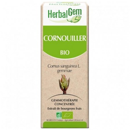 GEMMOBASE Cornouiller