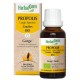 PROPOLIS Large Spectre