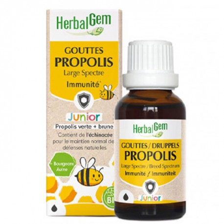 PROPOLIS Large Spectre