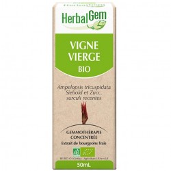 GEMMOBASE Vigne Vierge