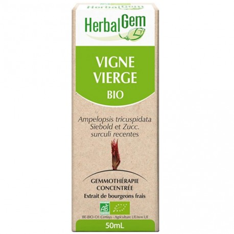 GEMMOBASE Vigne Vierge