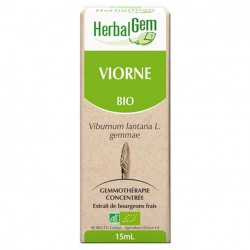 GEMMOBASE Viorne