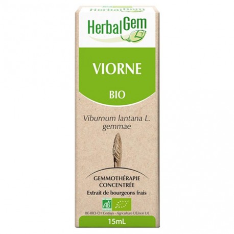 GEMMOBASE Viorne