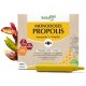 PROPOLIS Large Spectre