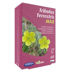 TRIBULUS TERRESTRIS Max