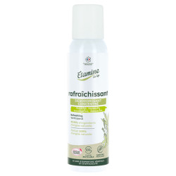 DESODORISANT RAFRAICHISSANT