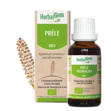 Prêle Bio Macérat glycériné 30 ml HerbalGem